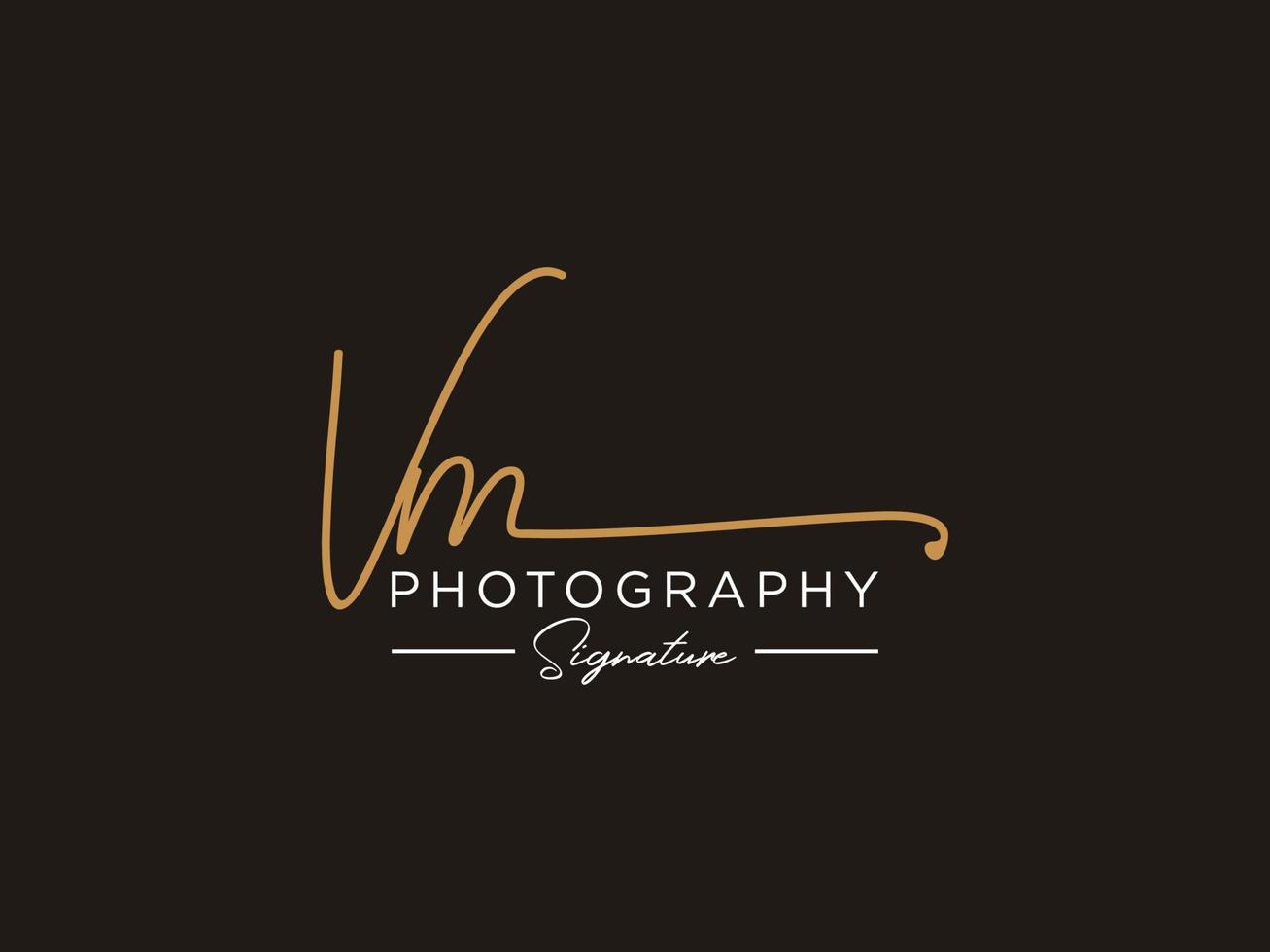 Letter VM Signature Logo Template Vector