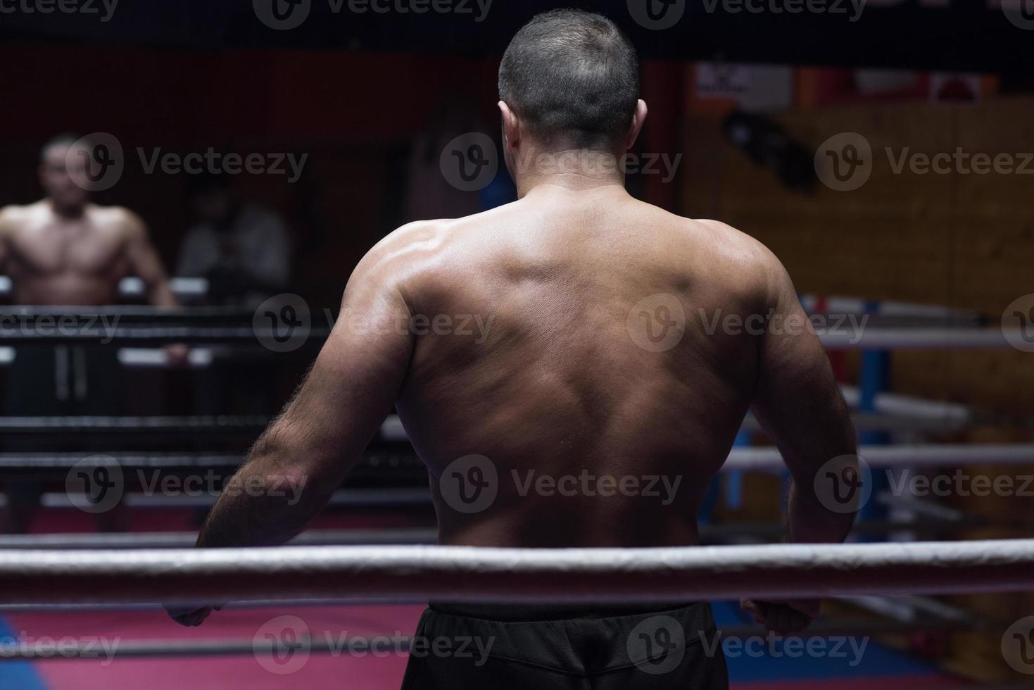 muscular professional kickboxer photo