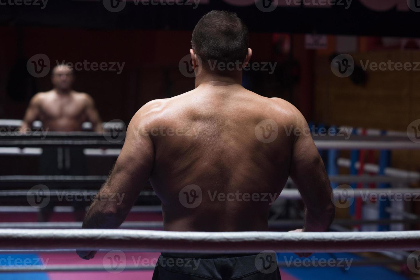 muscular professional kickboxer photo
