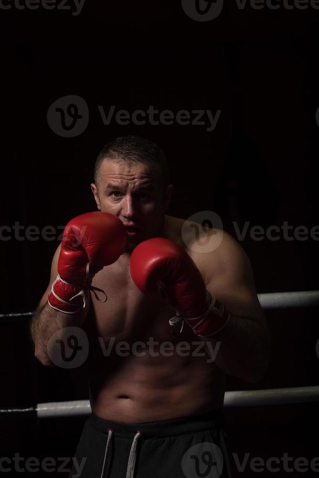 professional kickboxer in the training ring photo