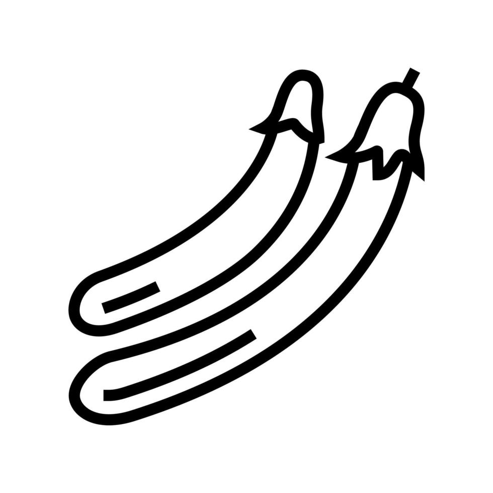 ping tung eggplant line icon vector illustration
