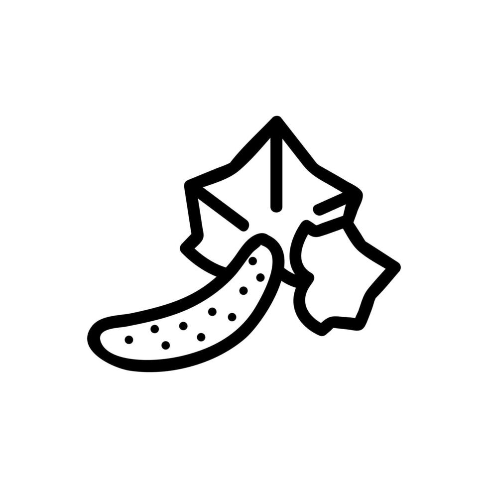 cucumber and leaves icon vector outline illustration