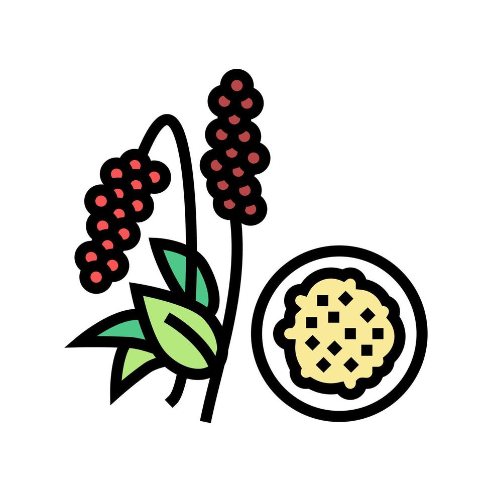 ilustración de vector de icono de color de grano de amaranto