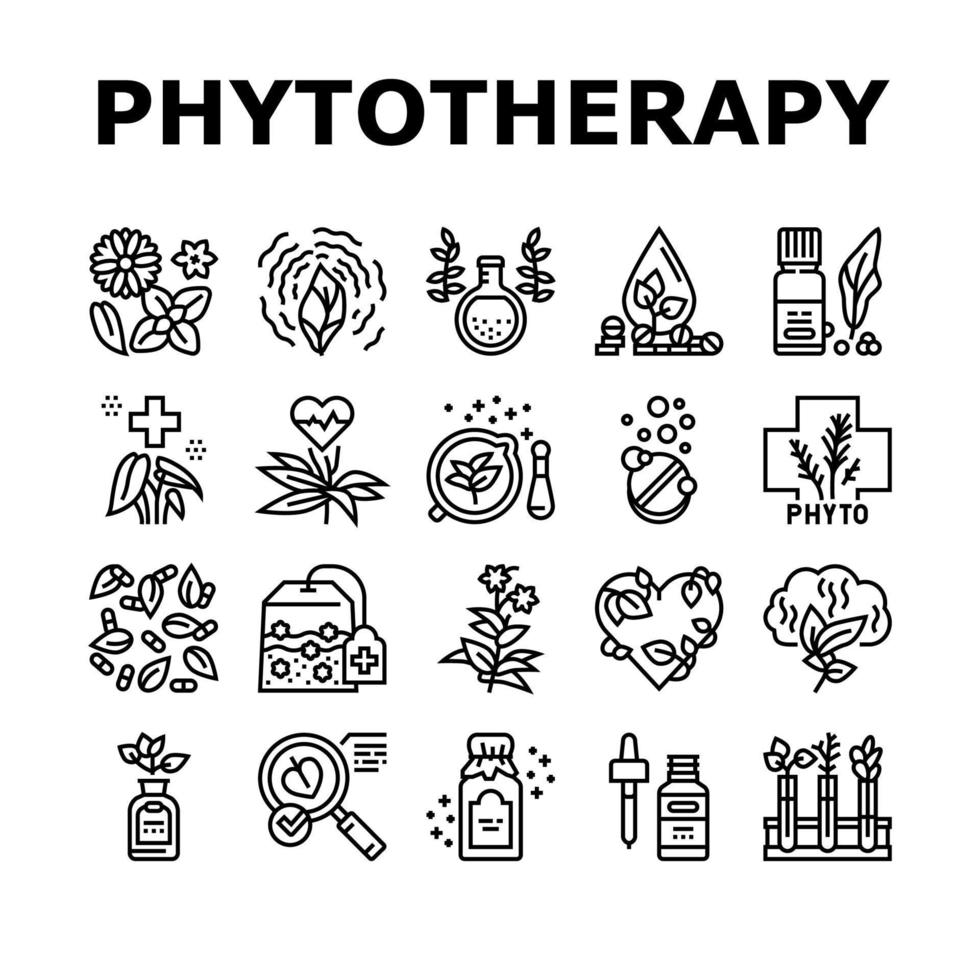 Phytotherapy Treat Collection Icons Set Vector