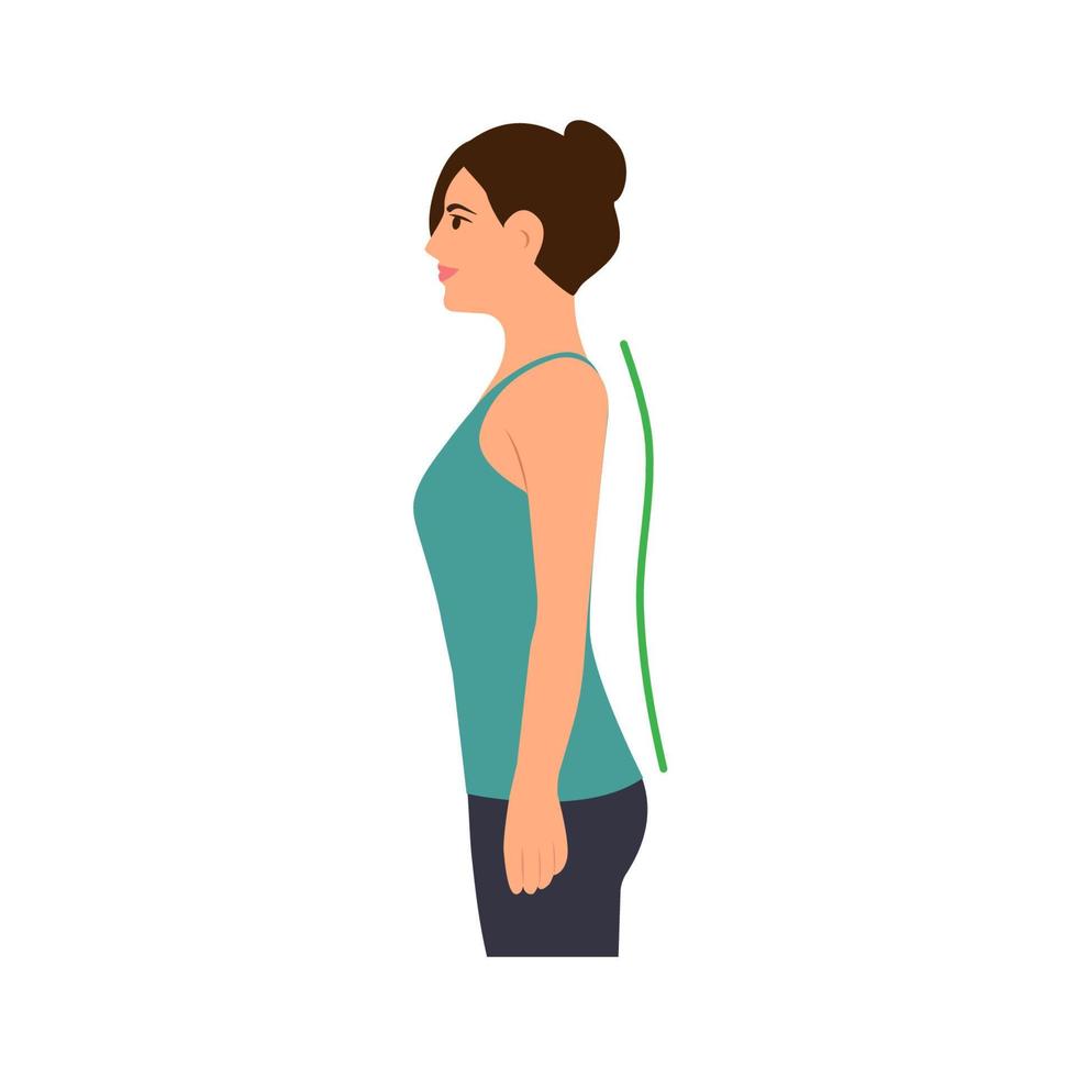 Correct and incorrect standing posture.Young woman with bad posture. Cervical spinal curvature. Hump. Good posture. Healthy back.Vector illustration on white background. vector