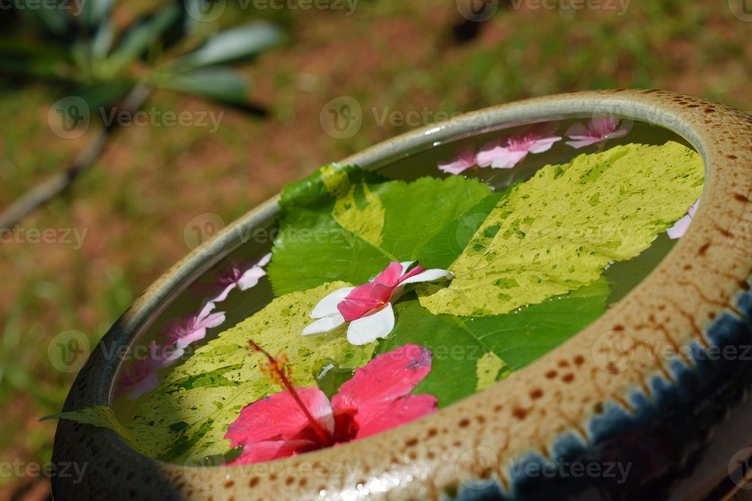 water cup with beautiful flowers background photo