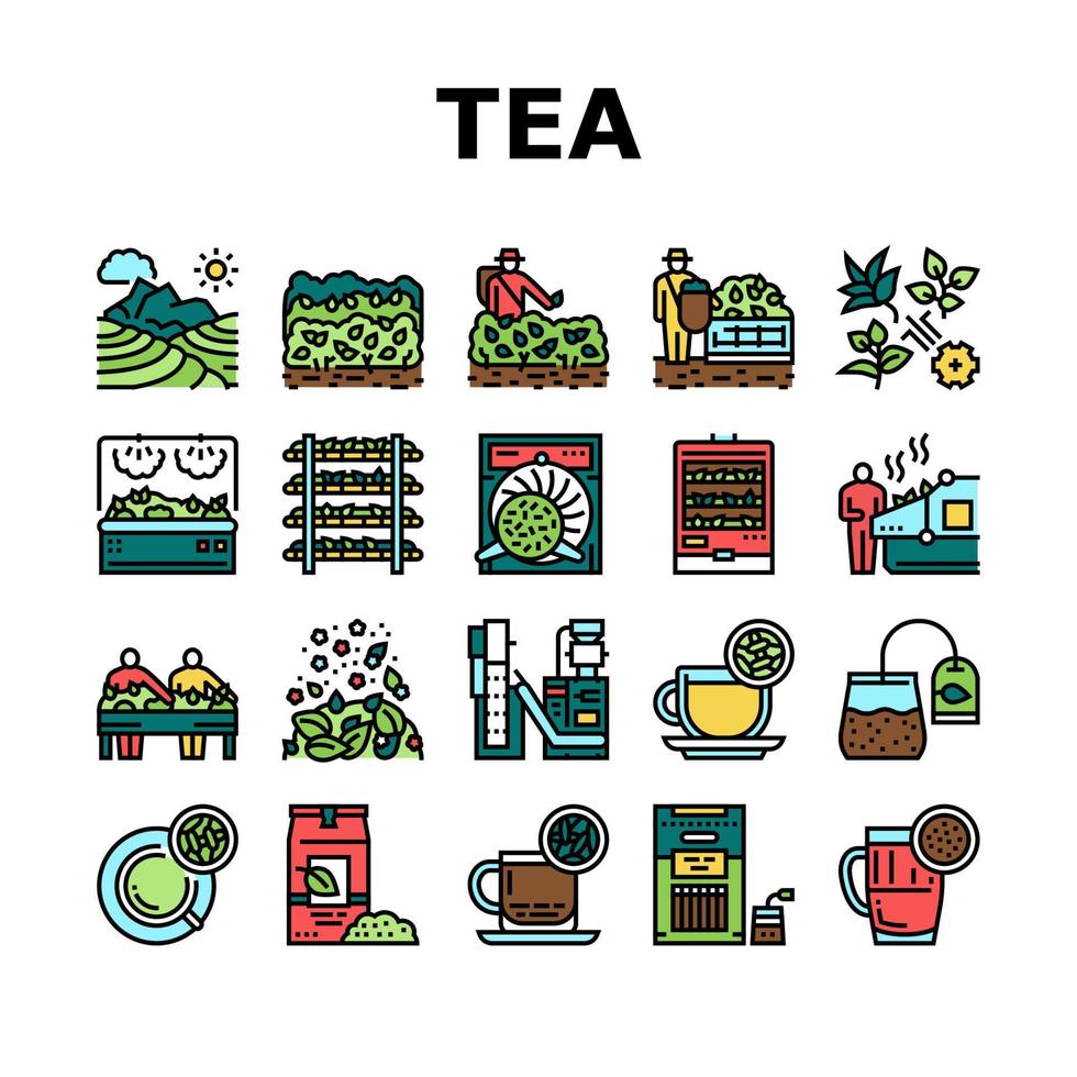 Tea Drink Production Collection Icons Set Vector
