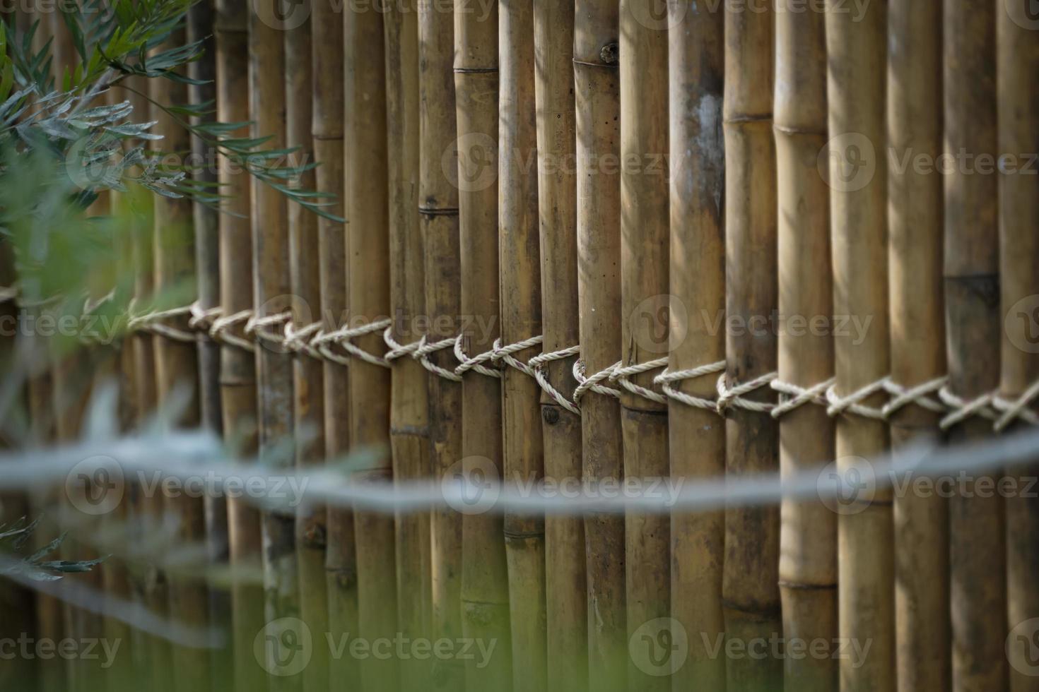 The bamboo fence with ropes is beautiful and perfect. photo