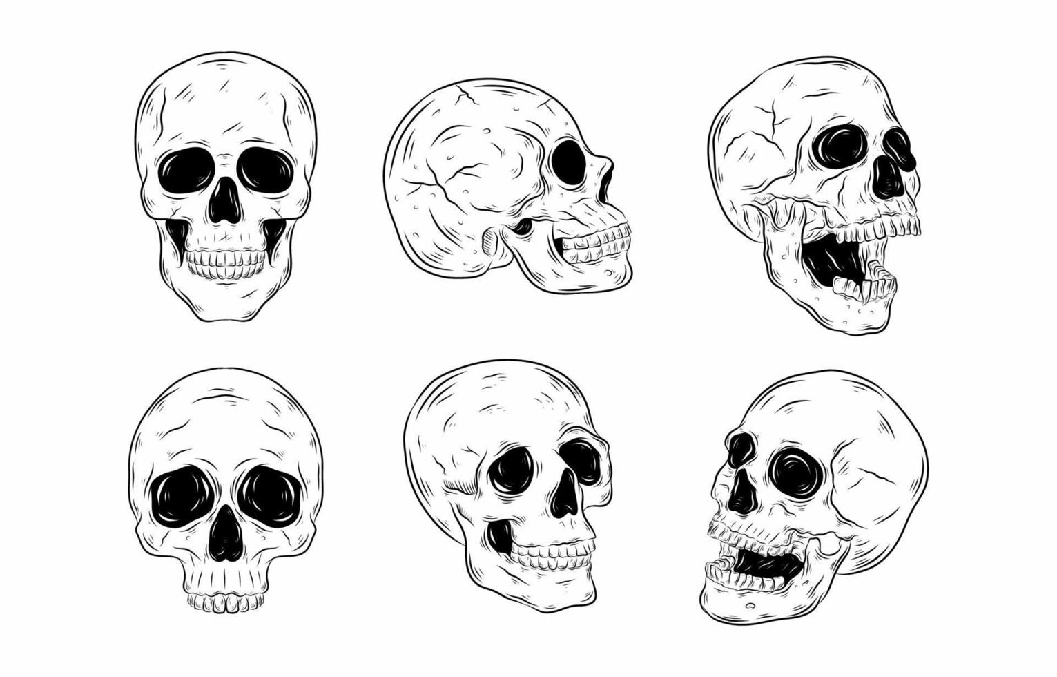 Realictic Skull Hand Drawn Element vector