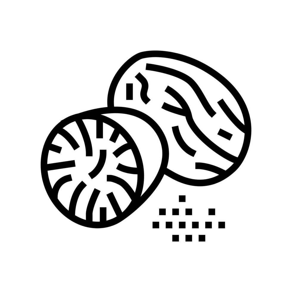 nutmeg nut line icon vector illustration