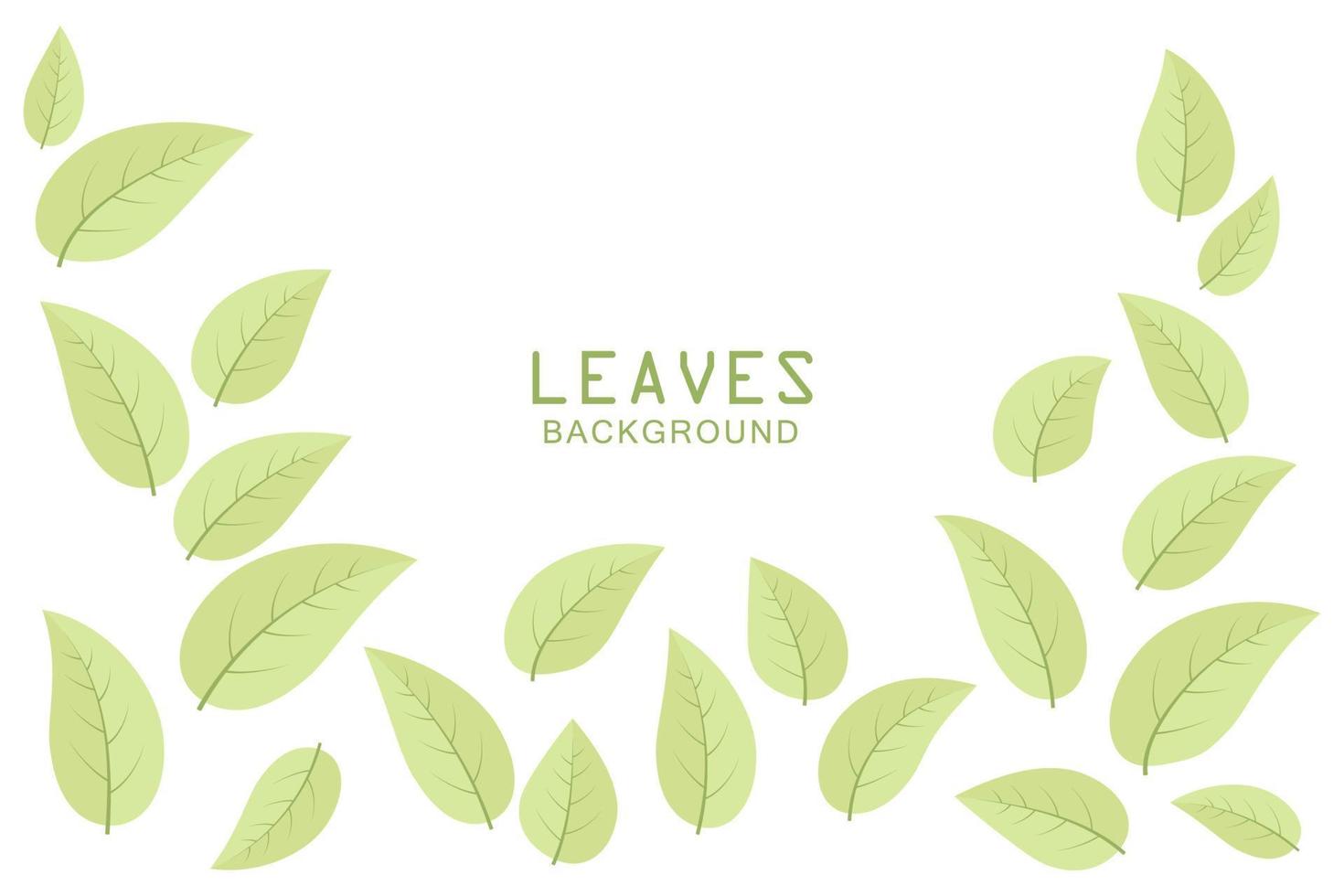 Beautiful green leaves on white background vector