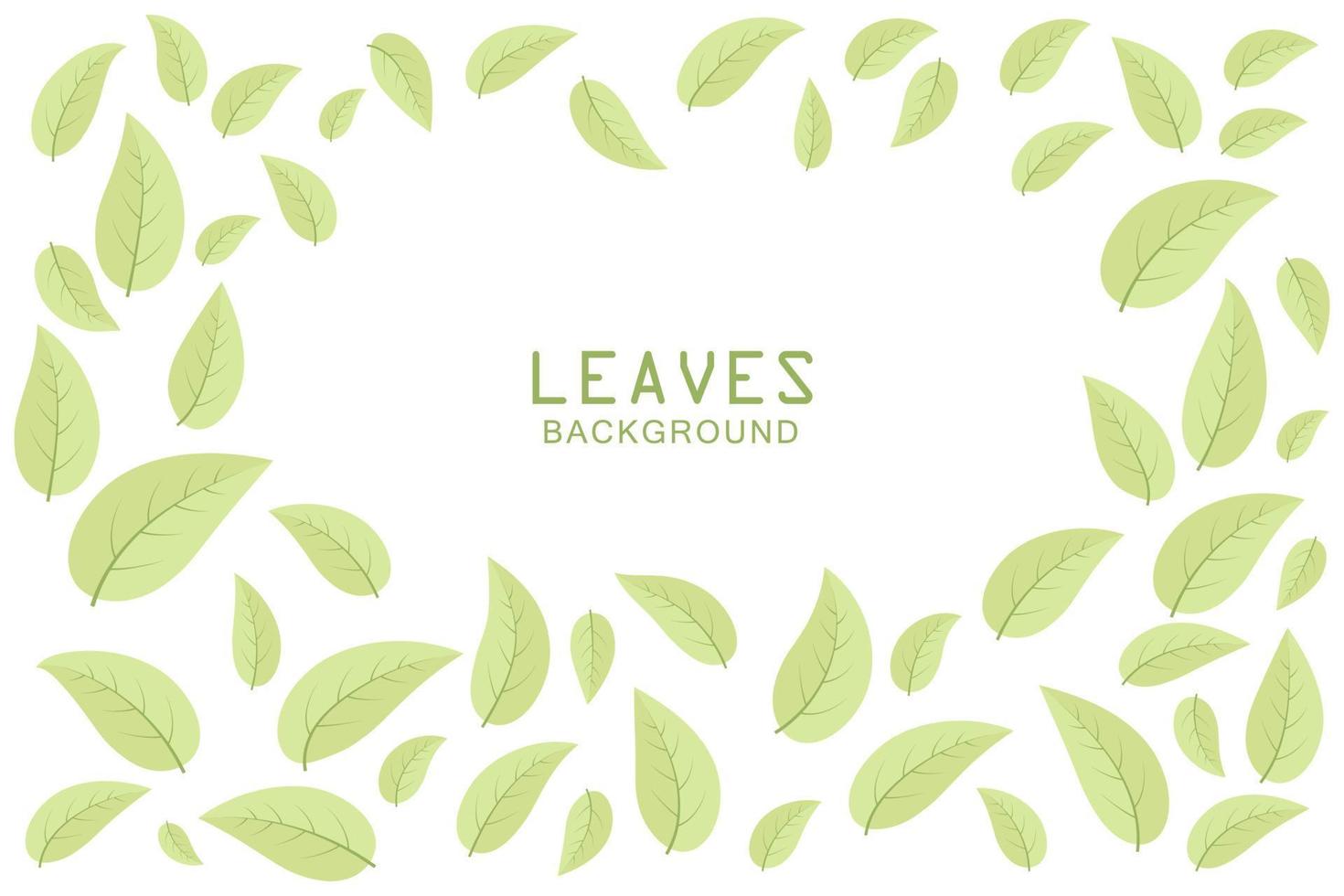 Beautiful green leaves on white background vector