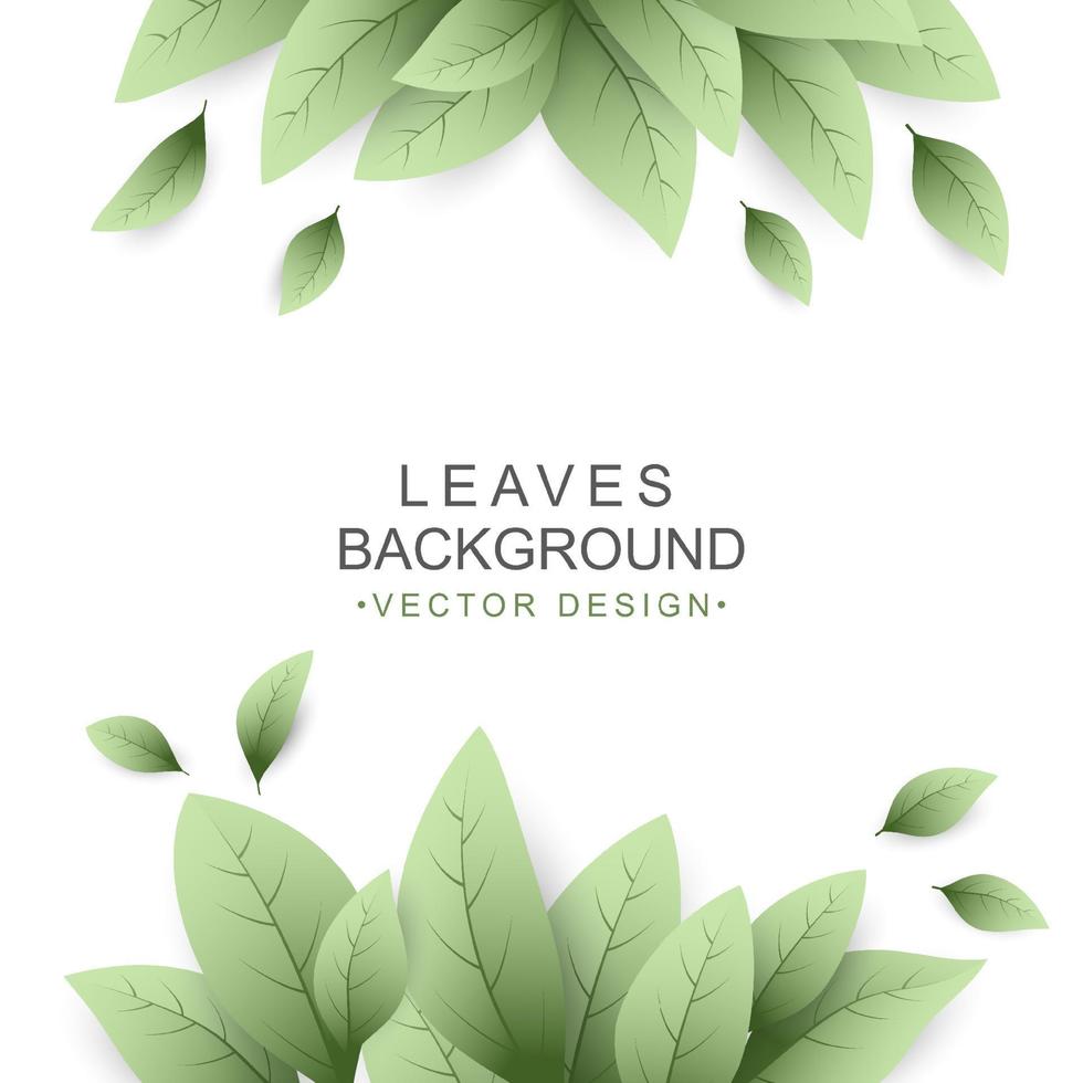 Green leaves background with copy space vector