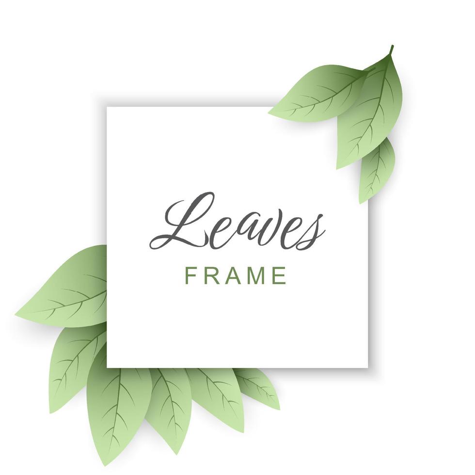 Green leaves frame background vector
