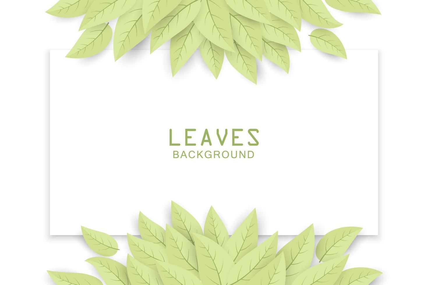 Beautiful green leaves on white background vector