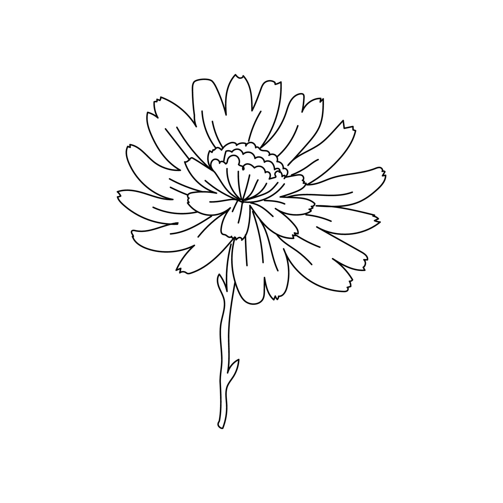 Line Art Flower and Plants. Aesthetic Hand Drawn Design Elements