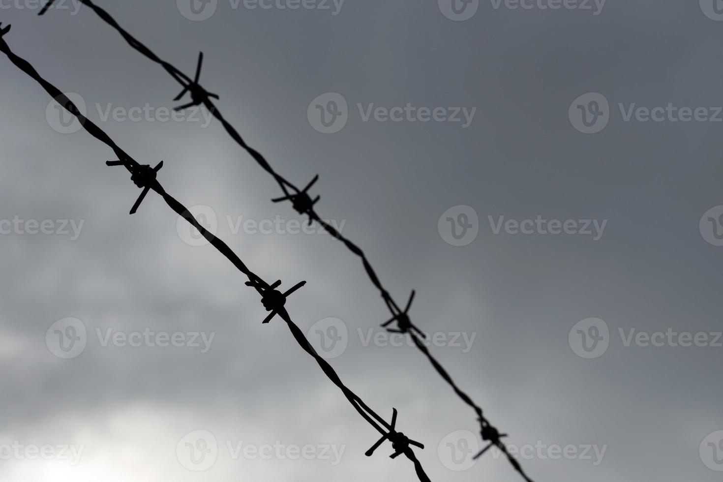 The barbed wire fence and the sky felt like it was blocked. photo