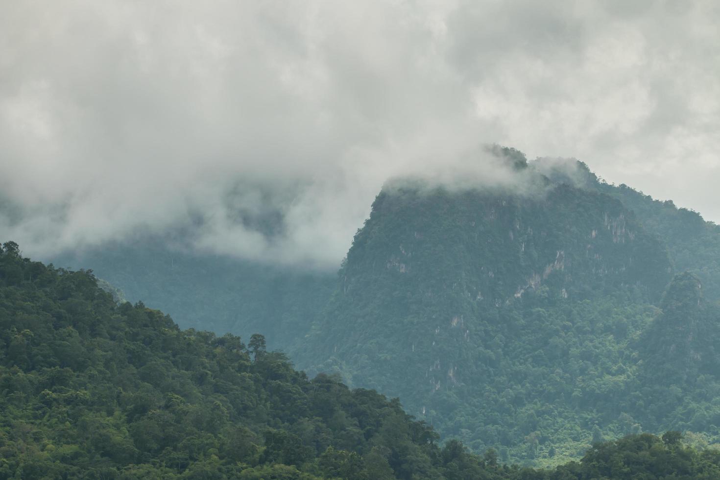 beautiful mountain scenery ,forest and misty photo