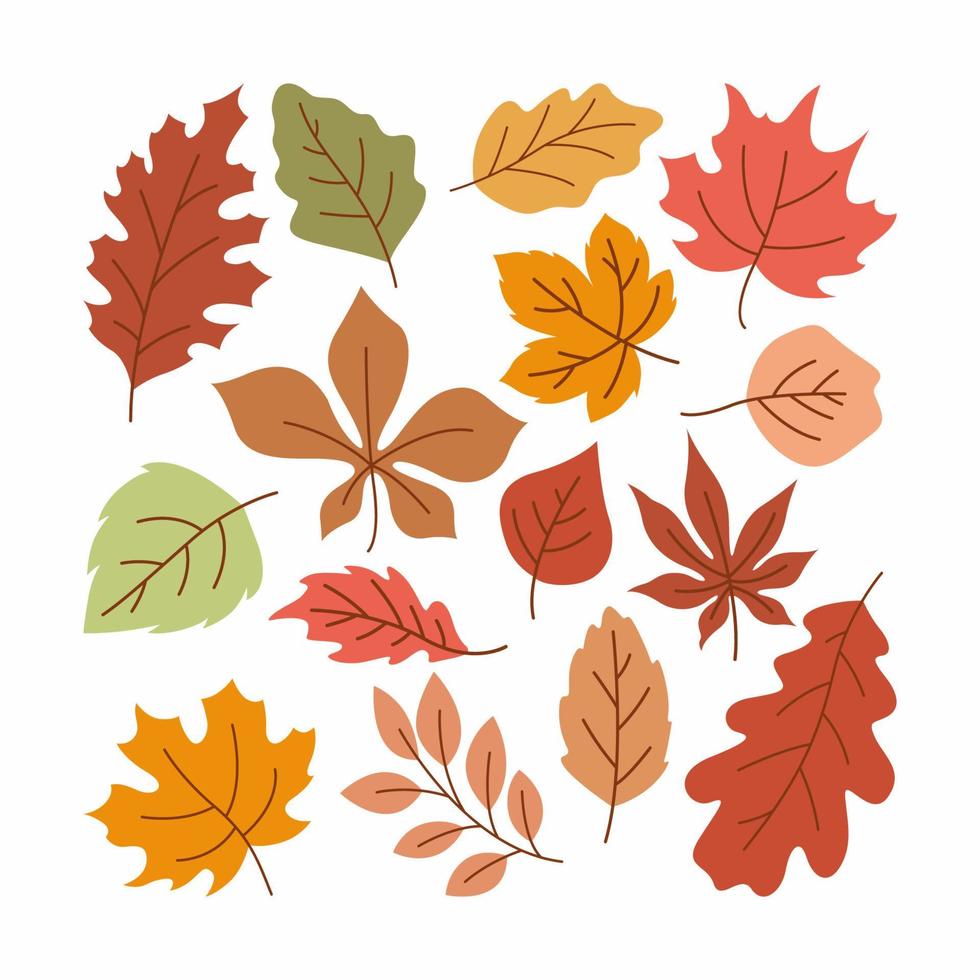 Fallen Leaves Flat Element Icon Creative Layout vector