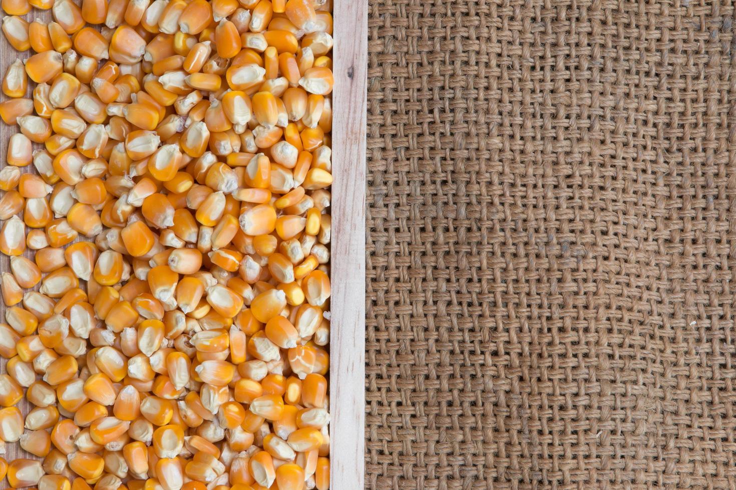 Dried Corn Seed Small Burlap Sack Stock Photo 154117763