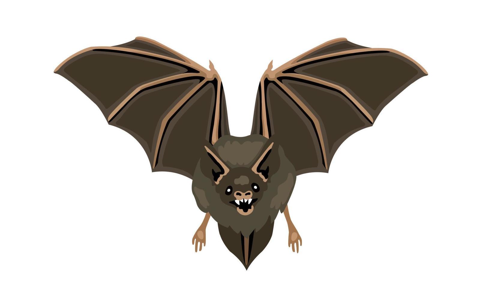 Flying bat horror halloween symbol. Disease carrier animals, virus source. vector