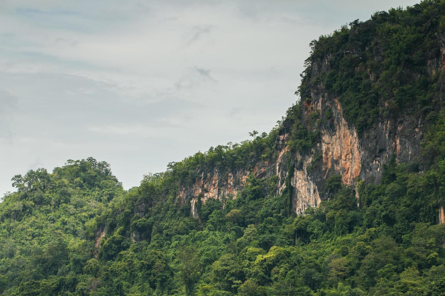 beautiful mountain scenery ,forest and misty photo