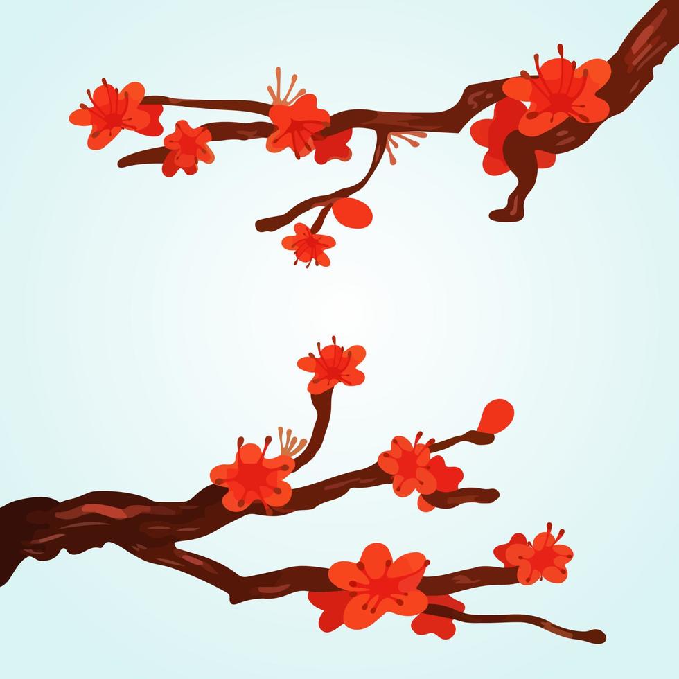 Cherry Blossoming Background Sakura Flowers red on branch. vector