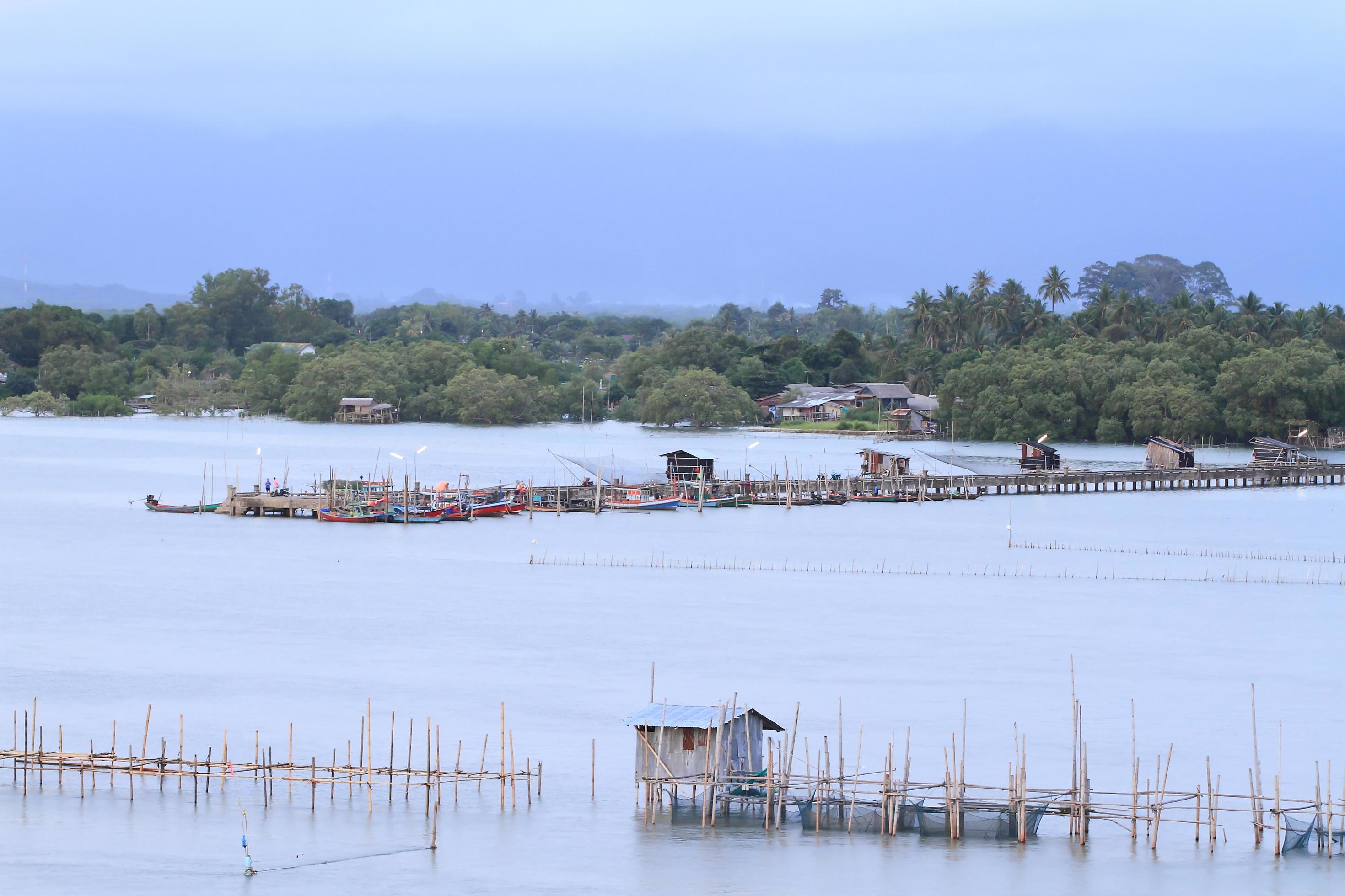 Shellfish farm, Thailand 10409103 Stock Photo at Vecteezy