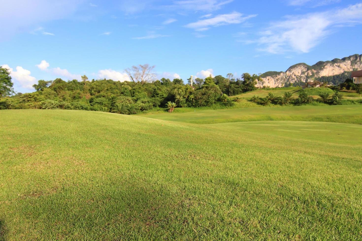 hierba verde en un campo de golf foto