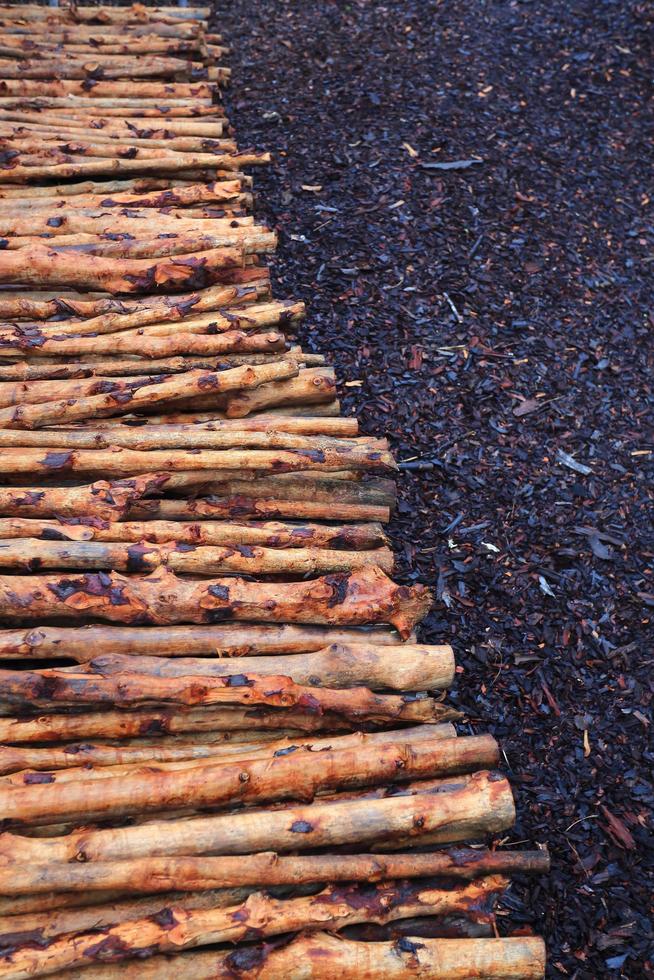 mangrove wood to be processed as charcoal photo