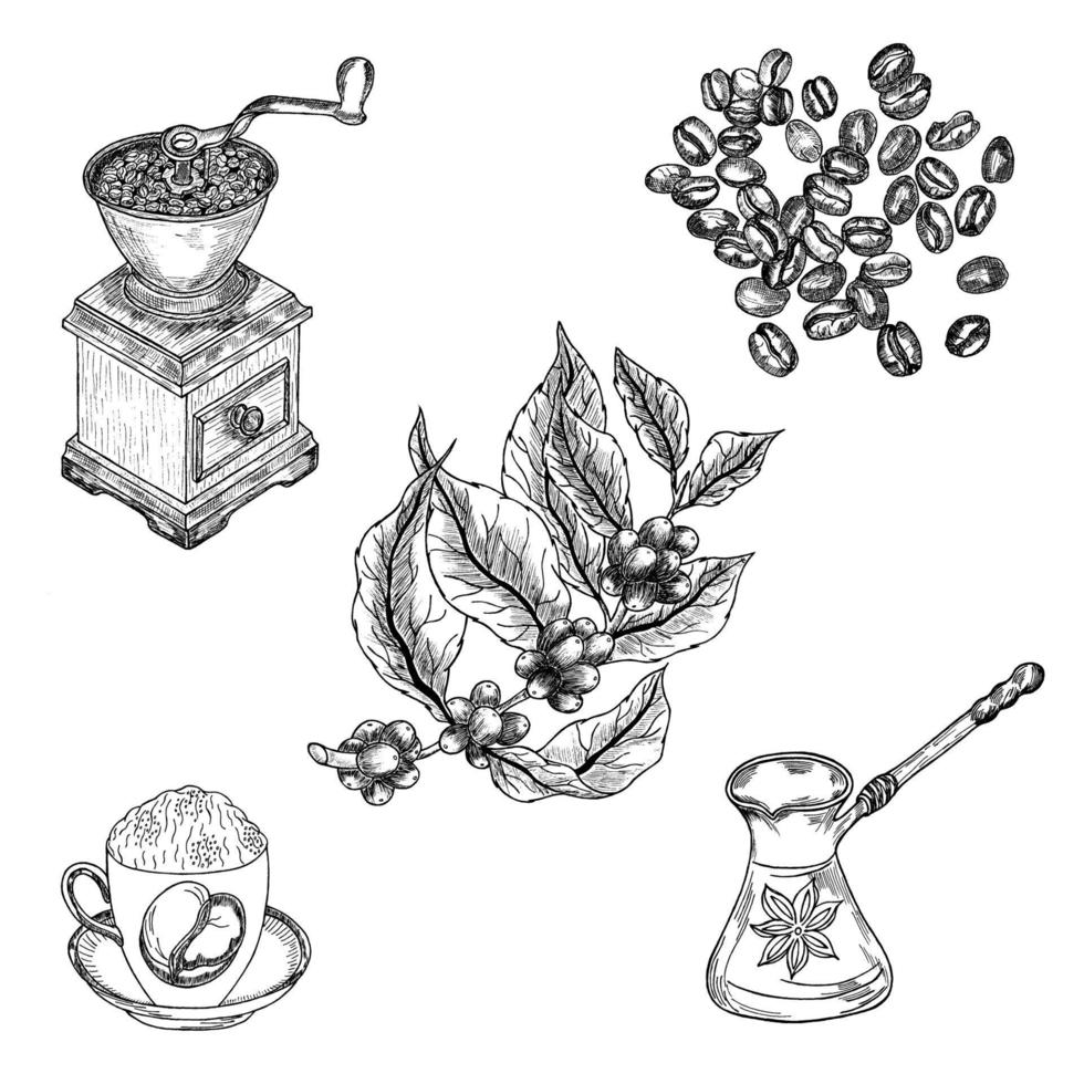 un turco, una taza de capuchino caliente, granos de café, un molinillo de café y una rama de café. juego de cafe ilustraciones en estilo vintage con grabado a mano. vector