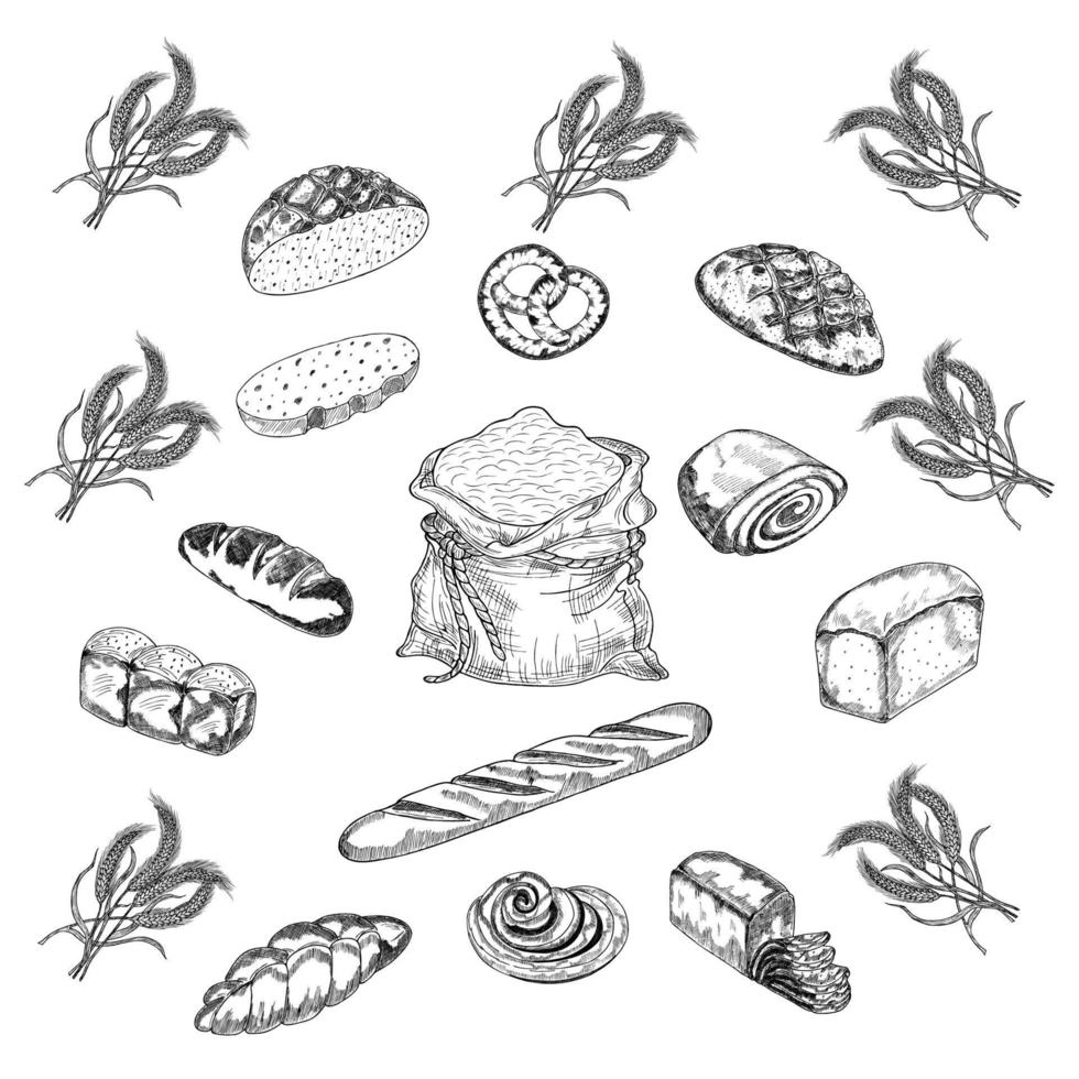 iconos de contornos de pan. dibujo de centeno, pan integral y de trigo,  pretzels, muffins, croissants, bagels, pan tostado, baguette francesa para  el menú de diseño de panadería. ilustración vectorial 10409775 Vector