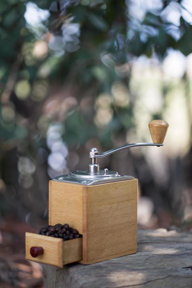 Coffee grinder and coffee beans photo