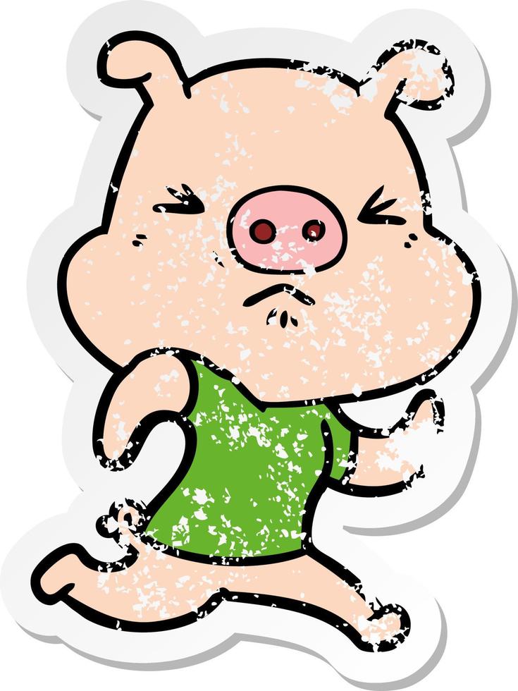 distressed sticker of a cartoon angry pig wearing tee shirt vector