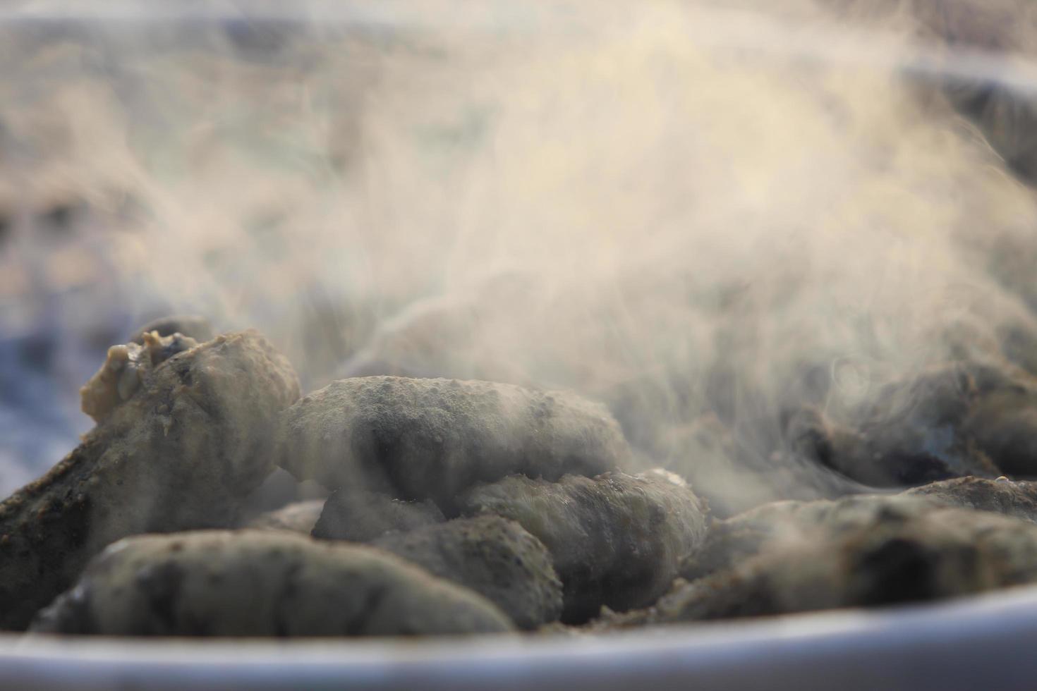 Drying Sea Cucumber Outdoor 10410496 Stock Photo at Vecteezy
