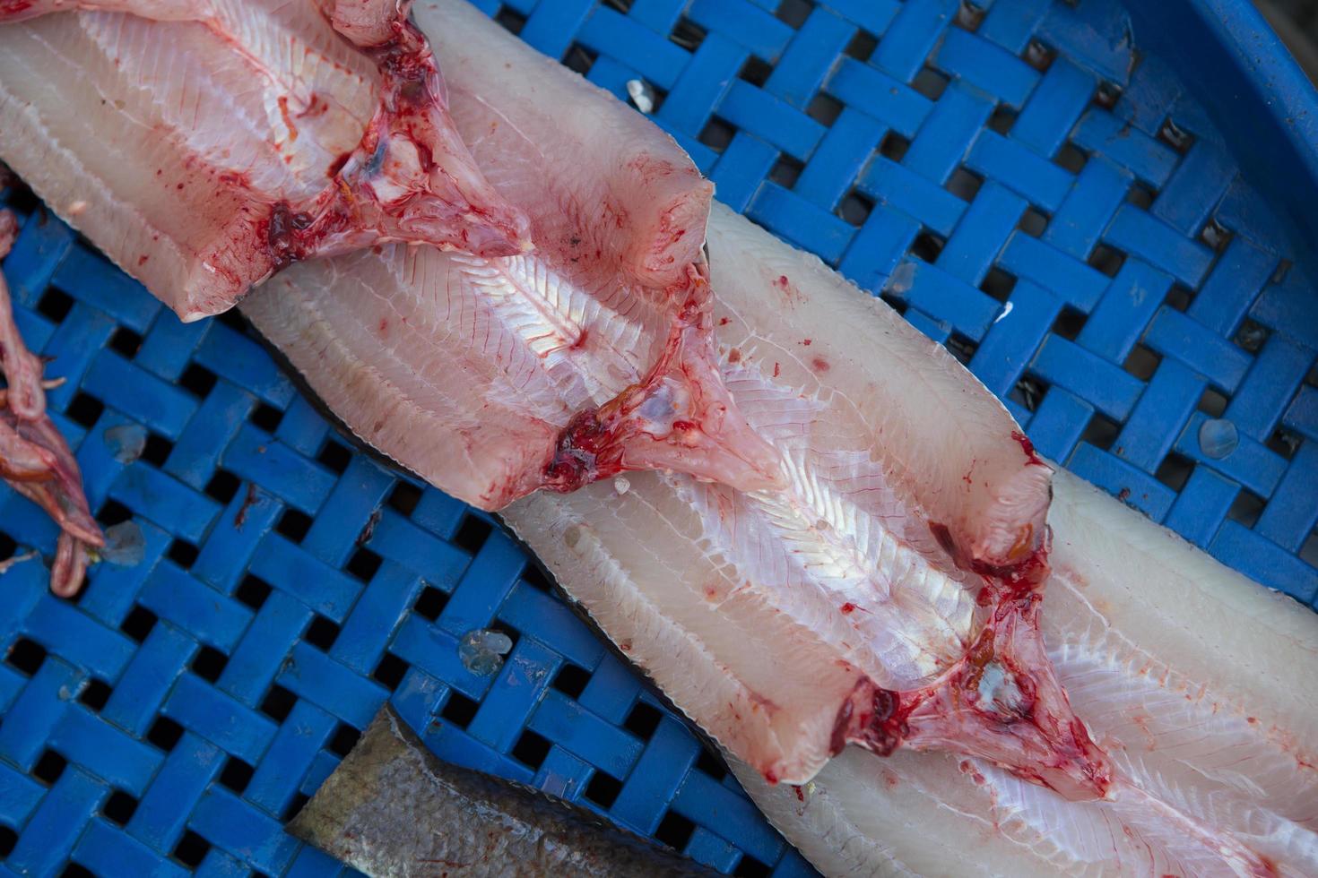 fresh seafood on the market in Thailand photo