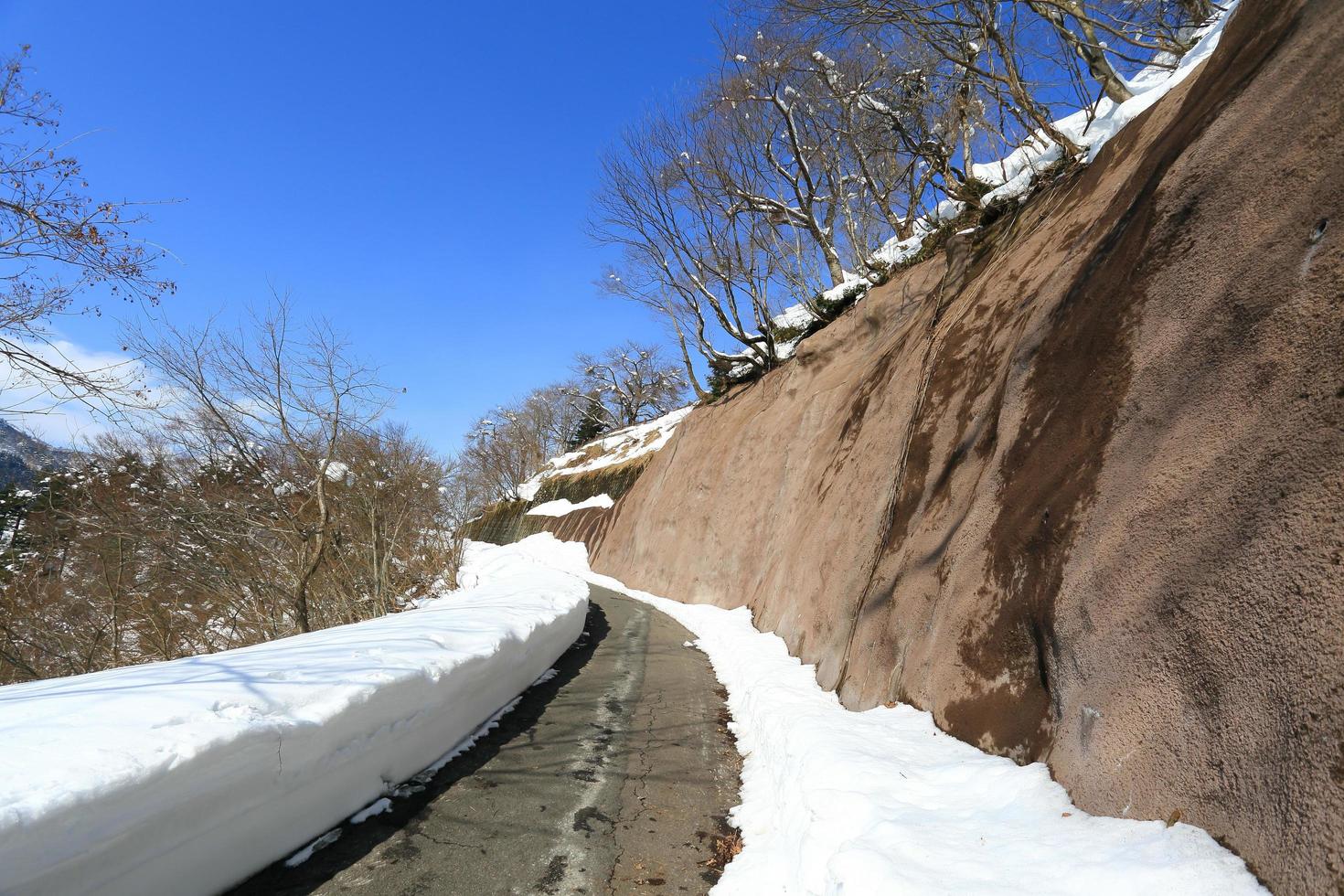 road leads people to Shiroyama Viewpoint photo