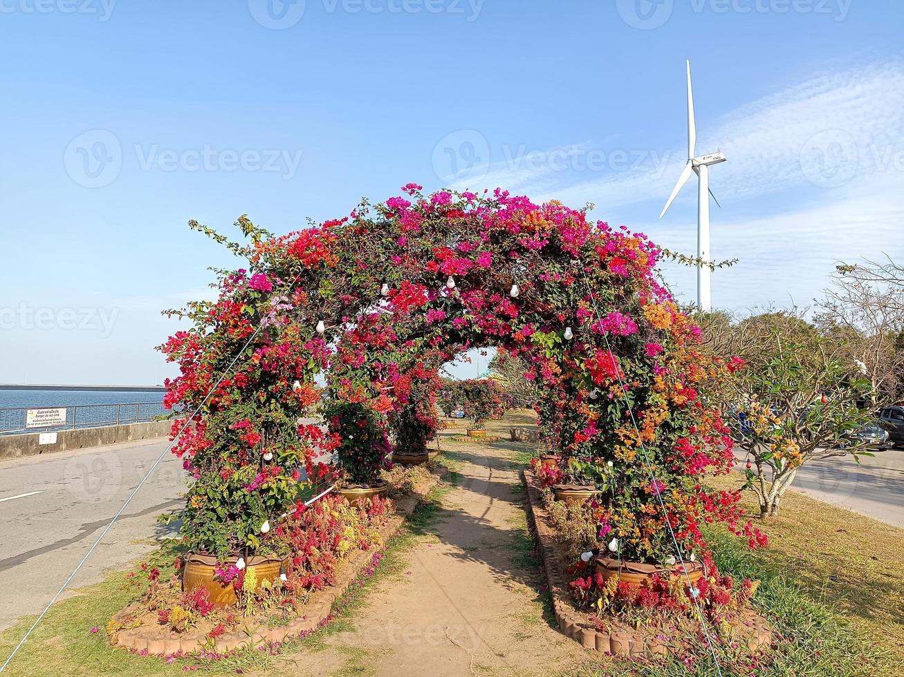 Flower plant fresh environment outdoor nature in summer holiday photography images photo