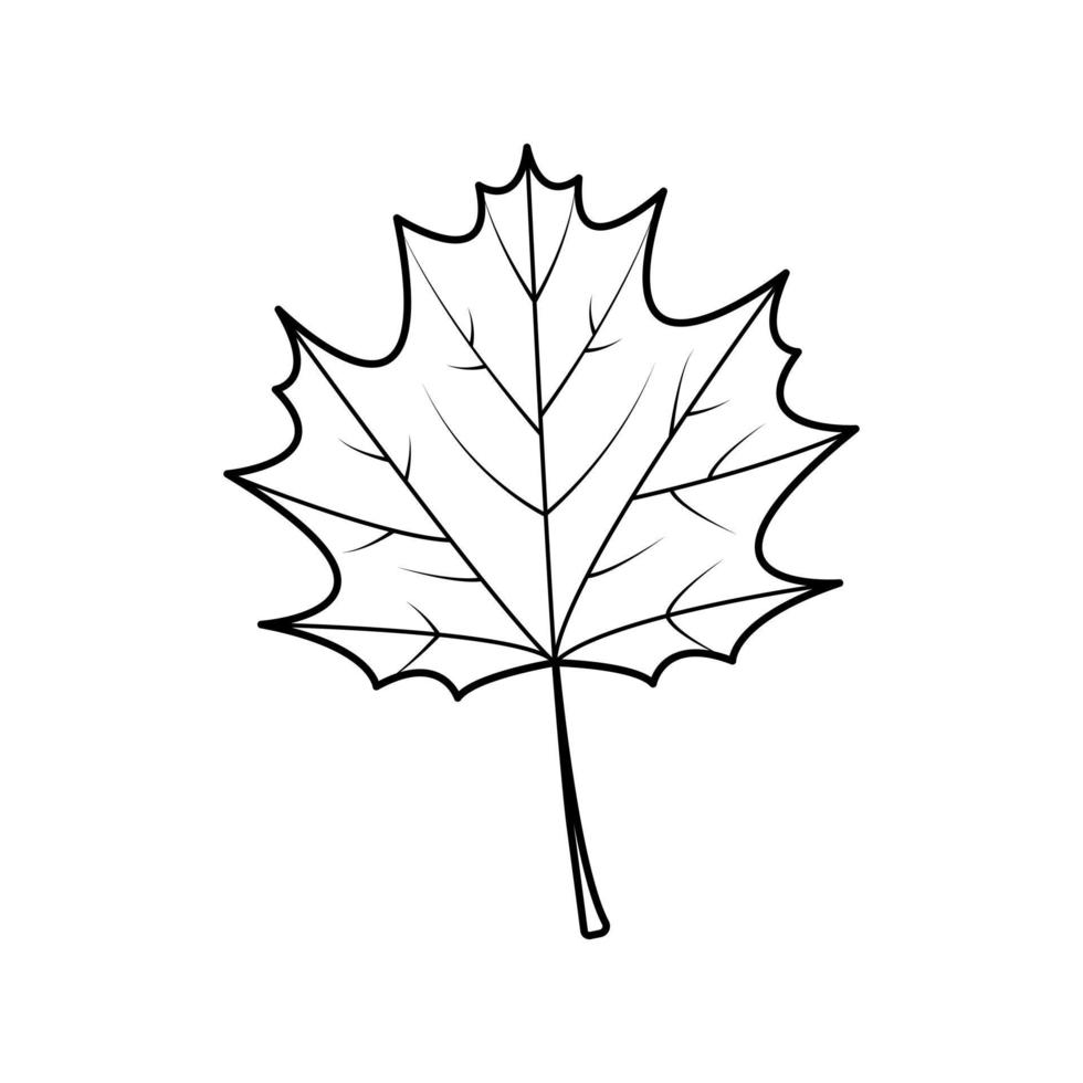 Maple Leaf line. vector