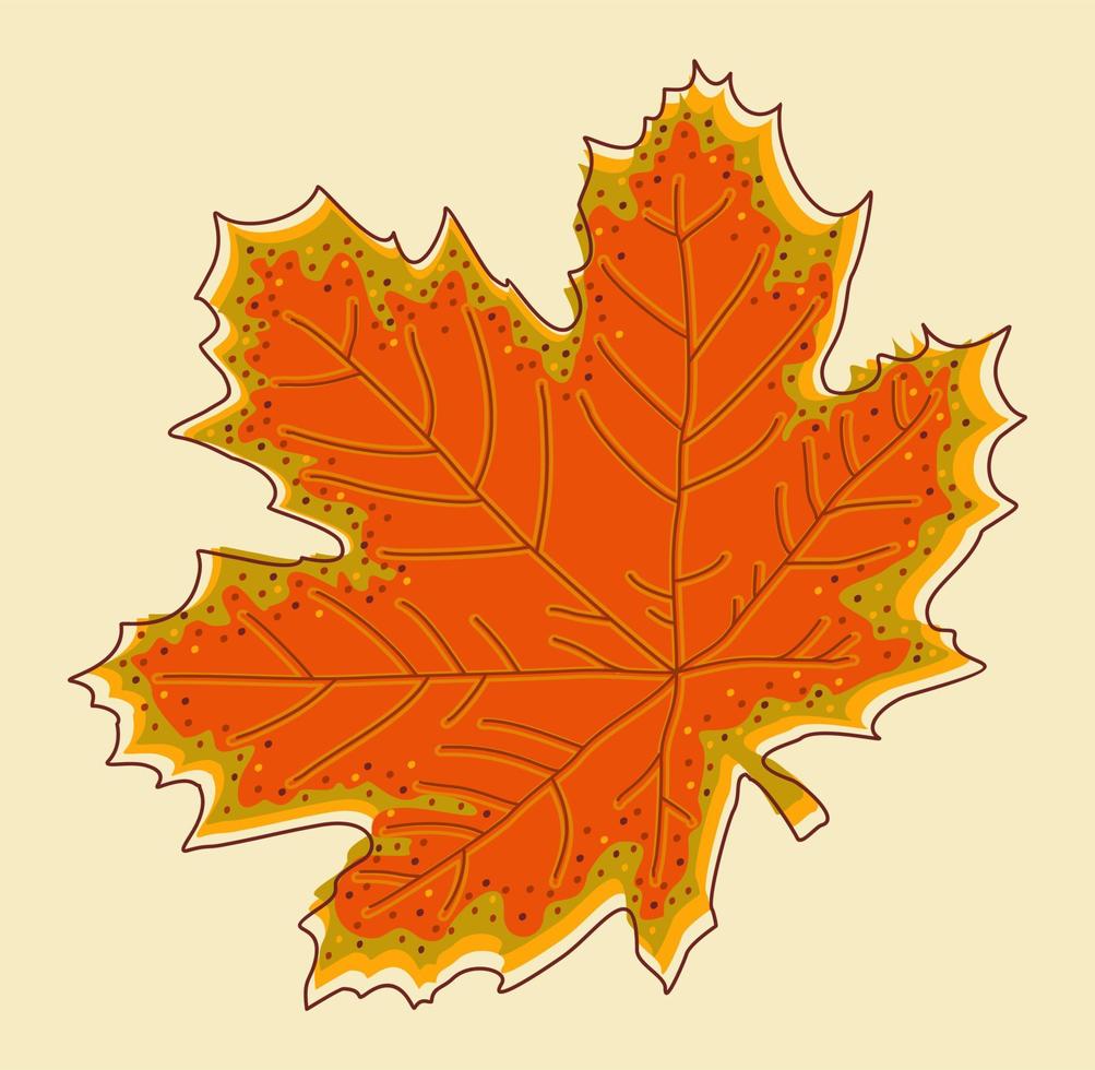 Vector isolated illustration of maple leaf.