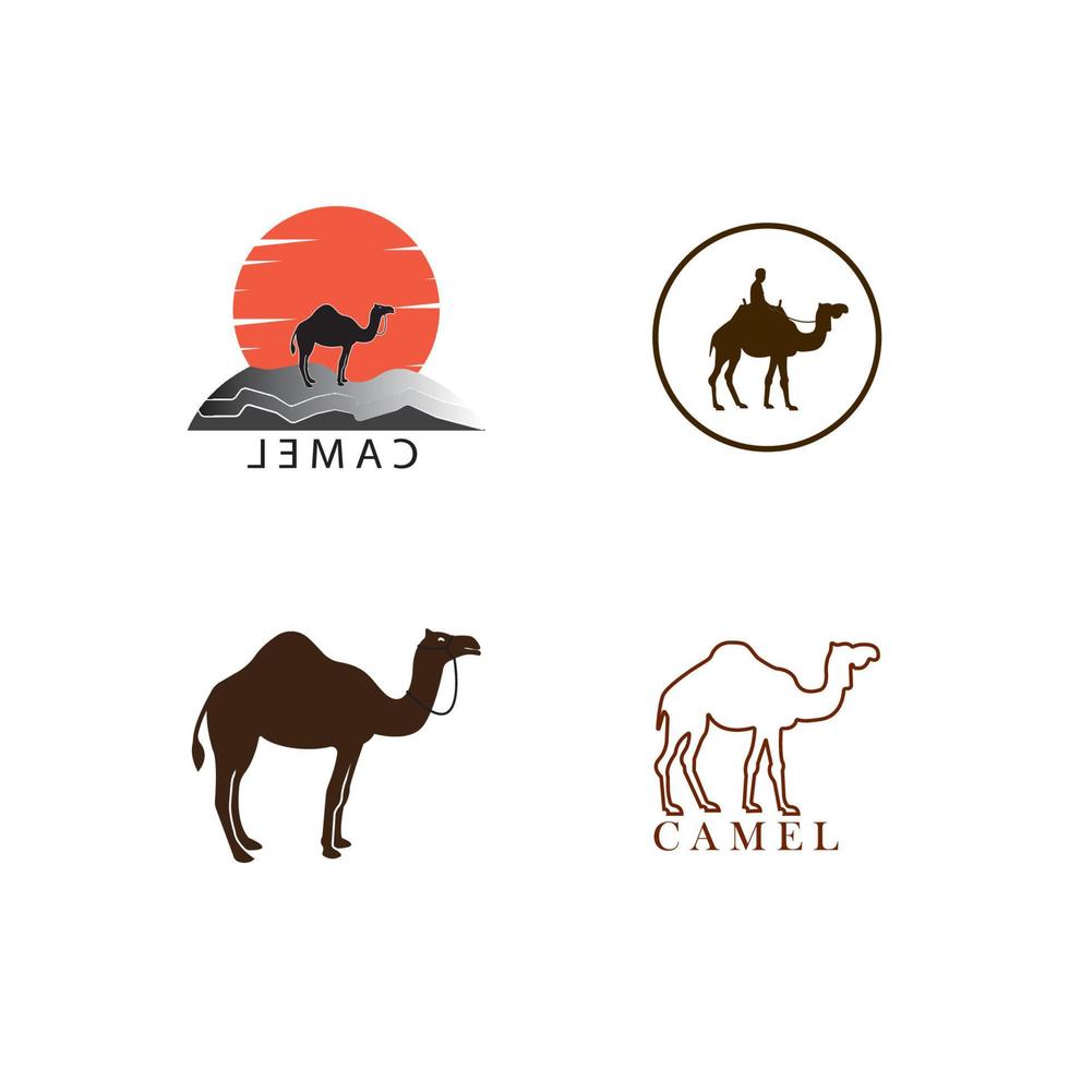 diseño de plantilla de ilustración de vector de logotipo de camello