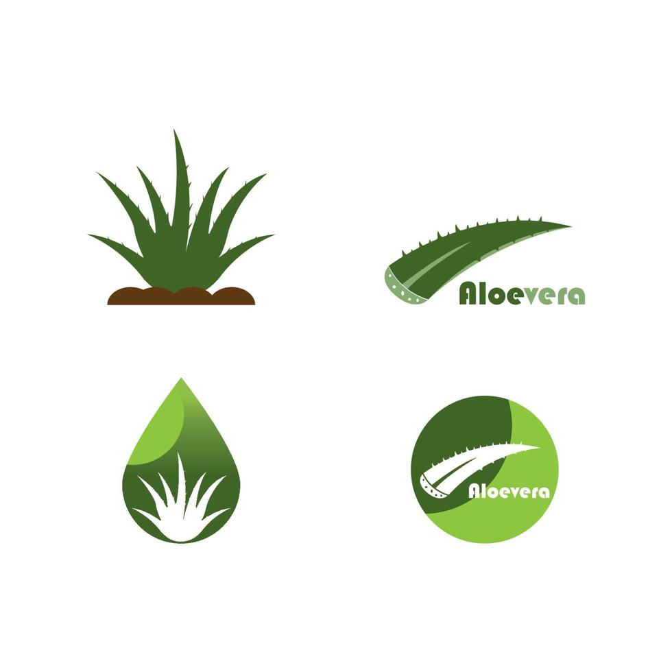 logotipo de aloevera. diseño de plantilla de ilustración vectorial vector