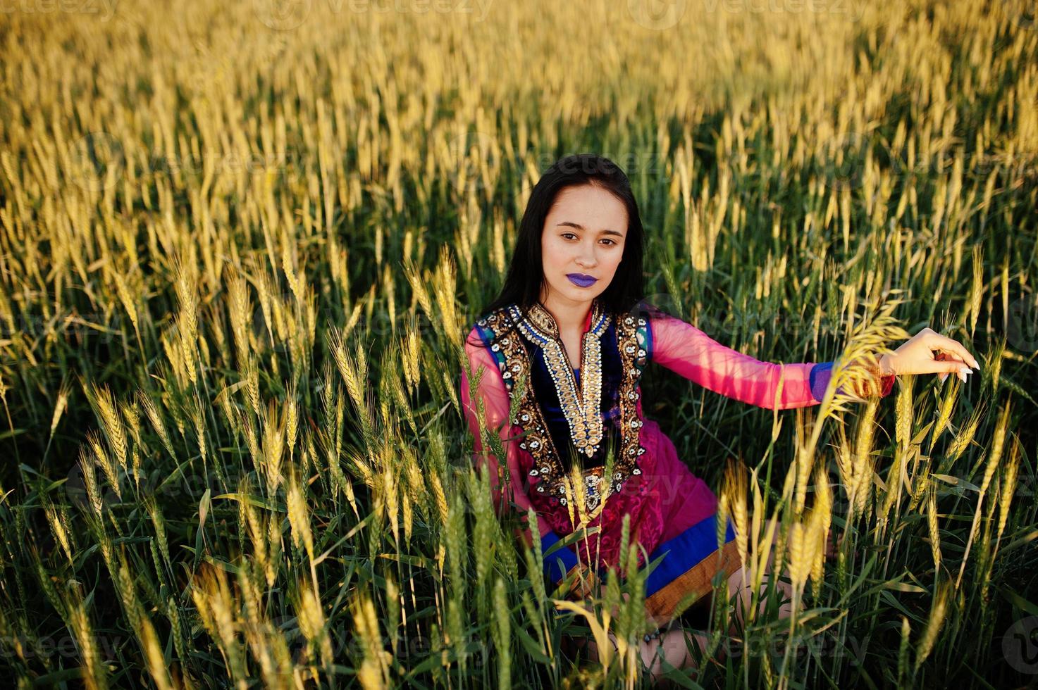 Tender indian girl in saree, with violet lips make up posed at field in sunset. Fashionable india model. photo