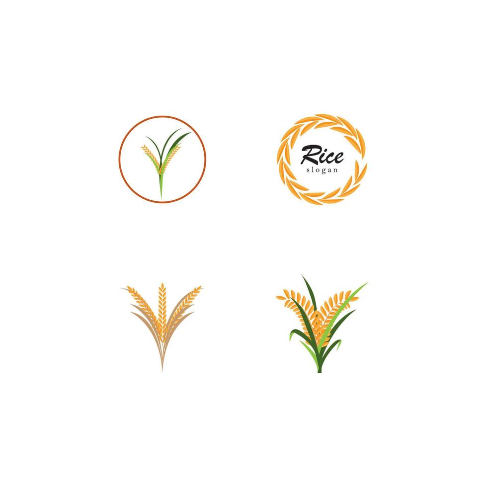 icono de arroz. diseño de plantilla de ilustración vectorial. vector