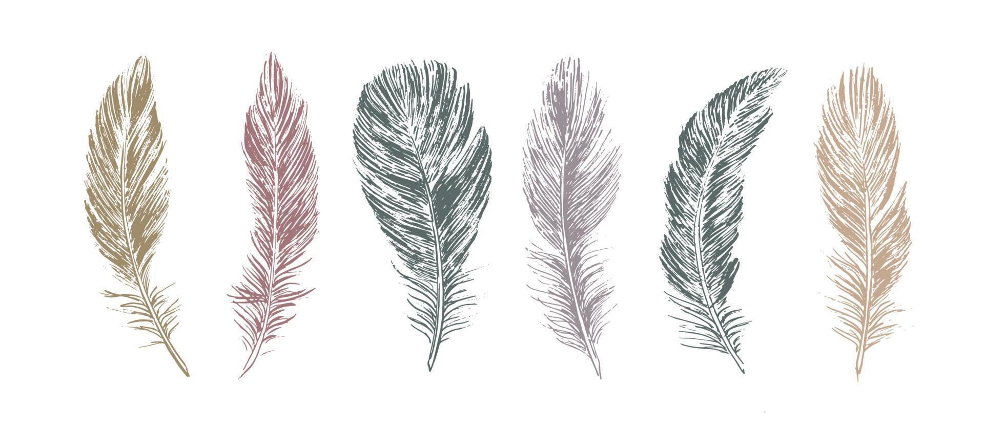 Feathers set on white background. Hand drawn sketch style. vector
