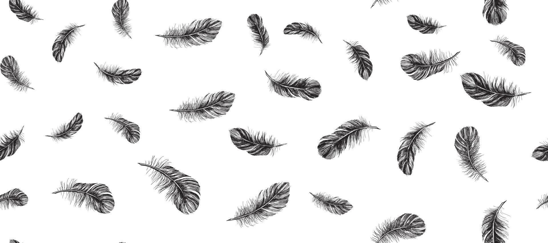 Feathers on white background. Hand drawn sketch style. vector