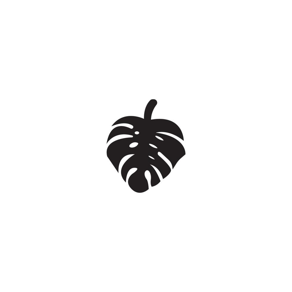 monstera leaf icon. vector