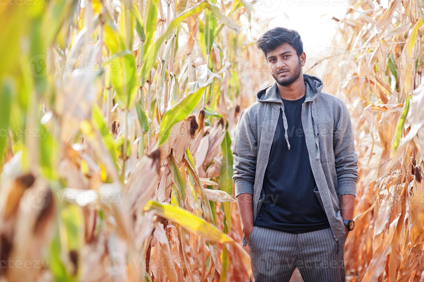 South asian agronomist farmer inspecting corn field farm. Agriculture production concept. photo