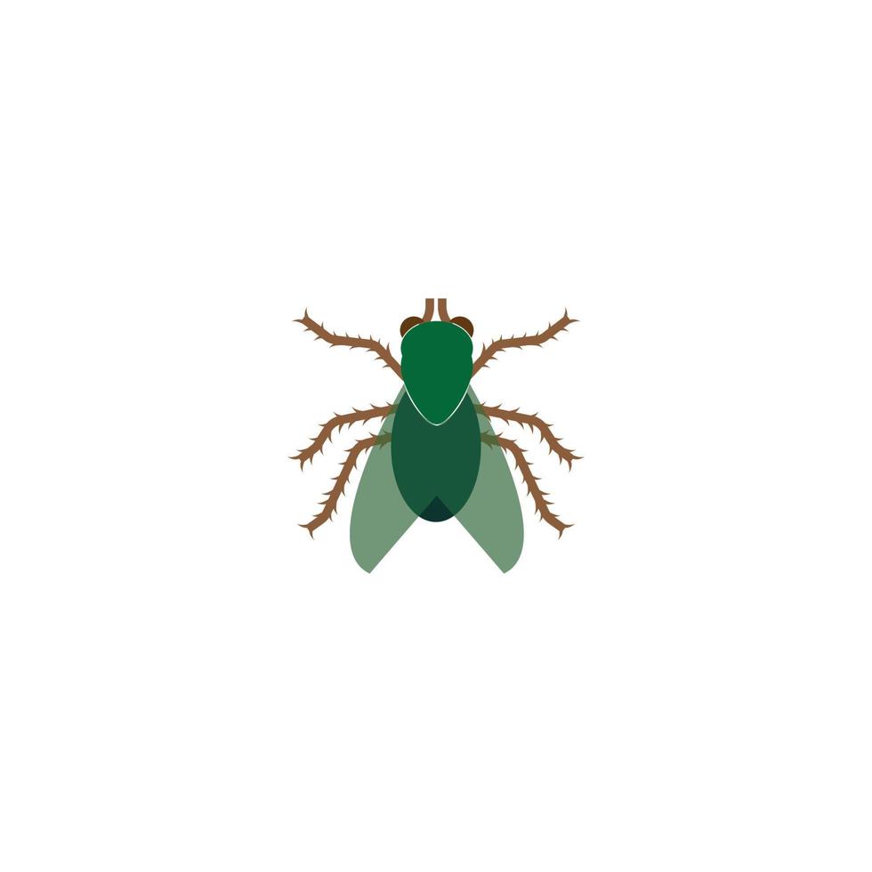 Insect icon vector illustration template design