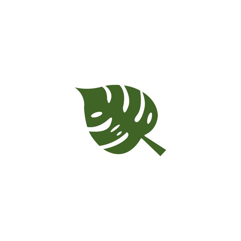 monstera leaf icon. vector